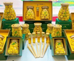 Bắc Kạn: Xây dựng thương hiệu OCOP gắn với bản sắc và phát triển bền vững