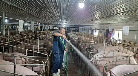 chan nuoi an toan sinh hoc huong di hieu qua cho nguoi dan van quan