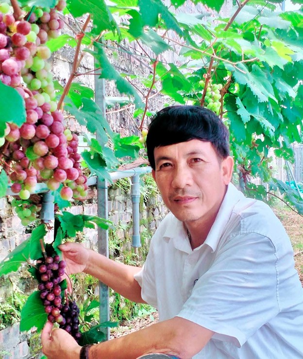 Nghệ nhân sinh vật cảnh năng động, sáng tạo Nghệ nhân sinh vật cảnh năng động, sáng tạo