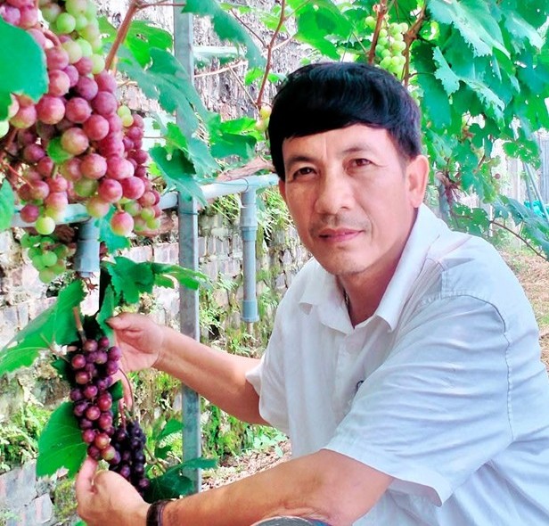 Nghệ nhân sinh vật cảnh năng động, sáng tạo