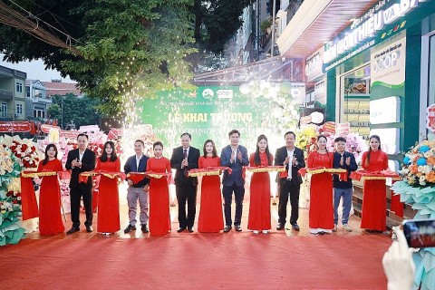 Xây dựng và quản lý thương hiệu sản phẩm OCOP: Bắc Kạn từng bước khẳng định giá trị nông sản địa phương