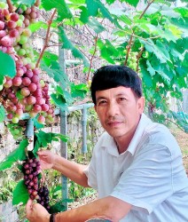 Nghệ nhân sinh vật cảnh năng động, sáng tạo