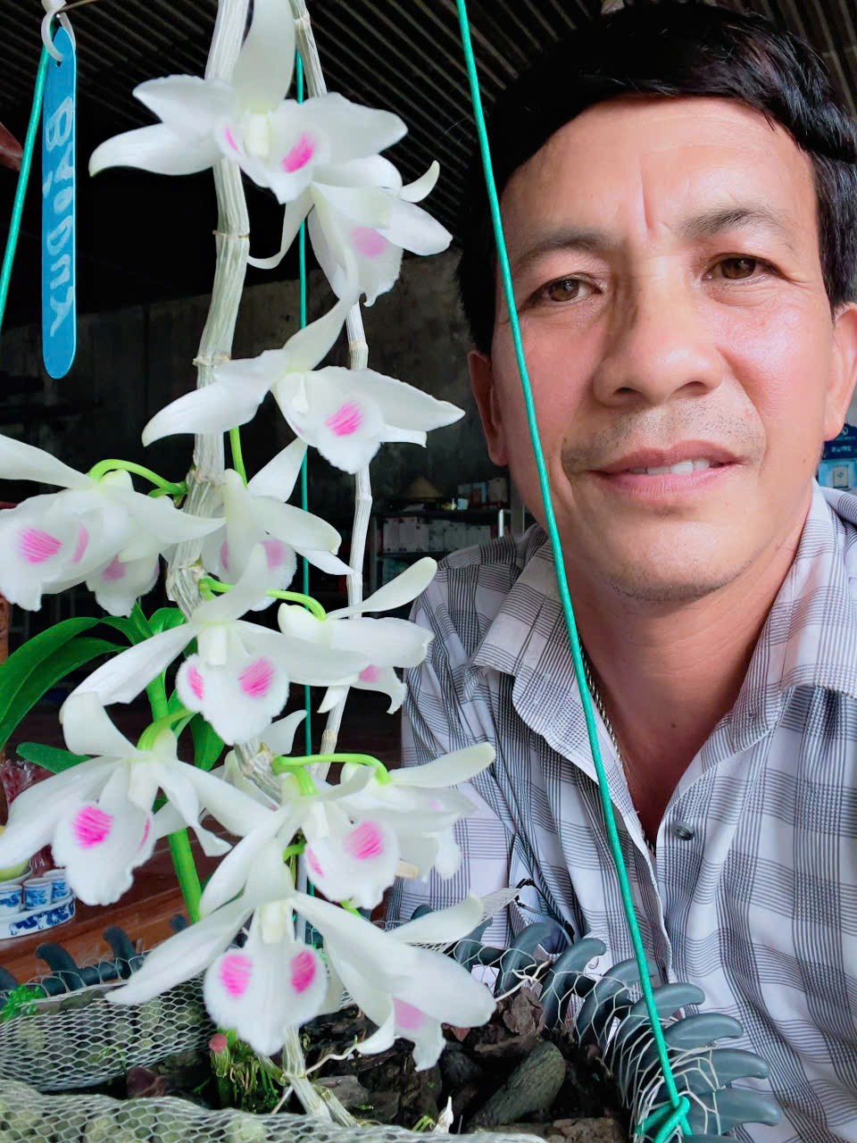 Nghệ nhân sinh vật cảnh năng động, sáng tạo Nghệ nhân sinh vật cảnh năng động, sáng tạo