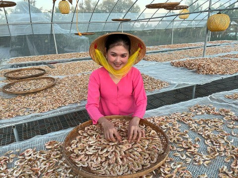 ca mau gap chu the ocop duoc de xuat danh hieu nghe nhan uu tu voi nghe lam tom kho