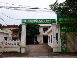Thanh Hóa: Thành lập 26 trung tâm dịch vụ nông nghiệp mới