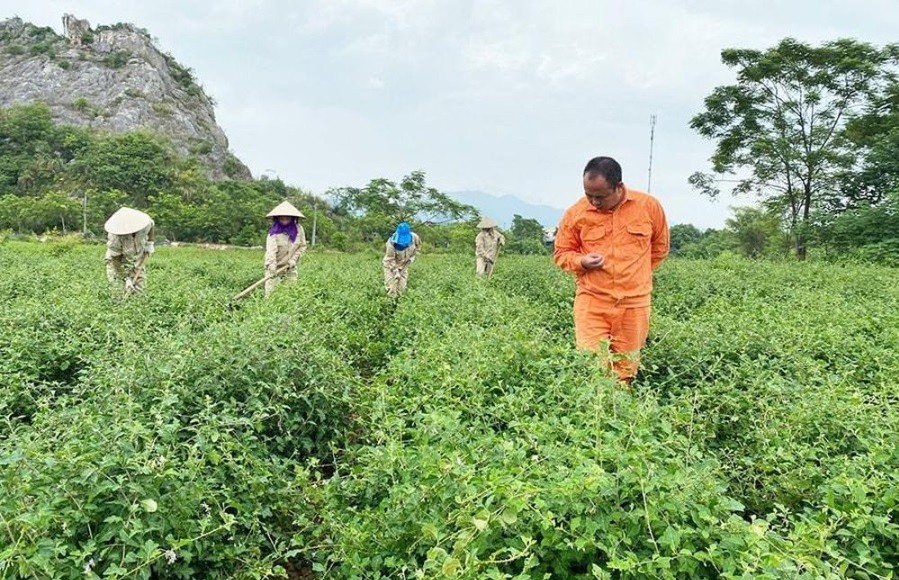 Phát triển sản phẩm OCOP từ tài nguyên bản địa