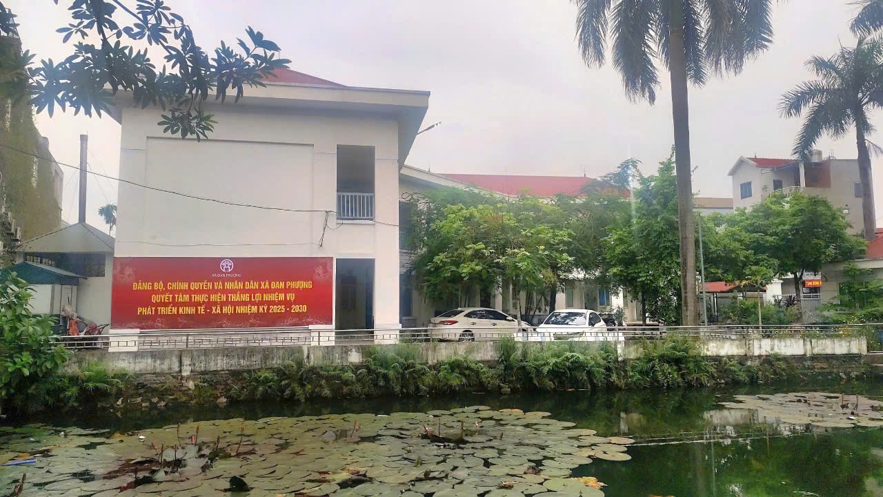 dan-phuong-1.jpg