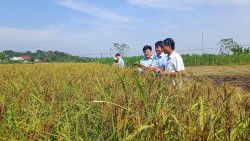 Thanh Hóa: Tập trung xây dựng mô hình khuyến nông trên các sản phẩm chủ lực