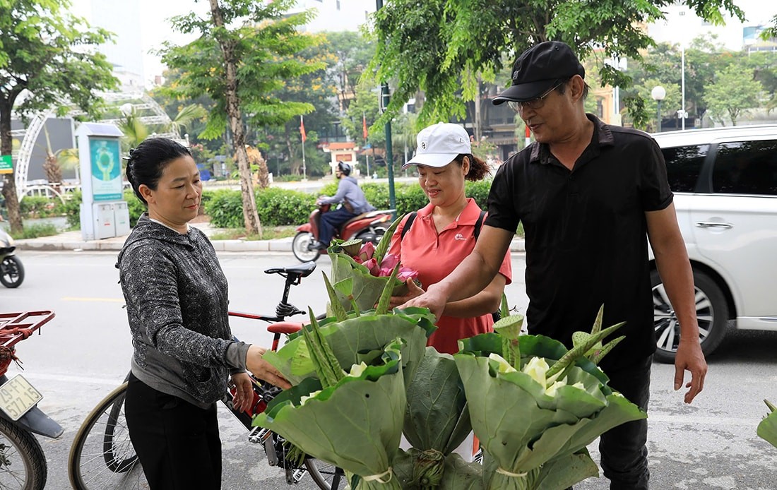Mùa sen ở hồ Tây Mùa sen ở hồ Tây