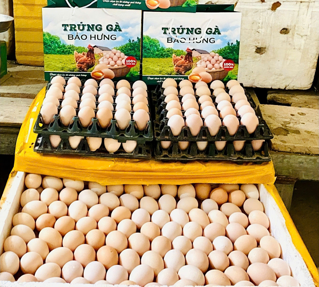 Sản phẩm “Trứng gà Bảo Hưng” của Hợp tác xã Nông nghiệp chăn nuôi Bảo Hưng đạt OCOP 3 sao. Ảnh Quốc Sơn.