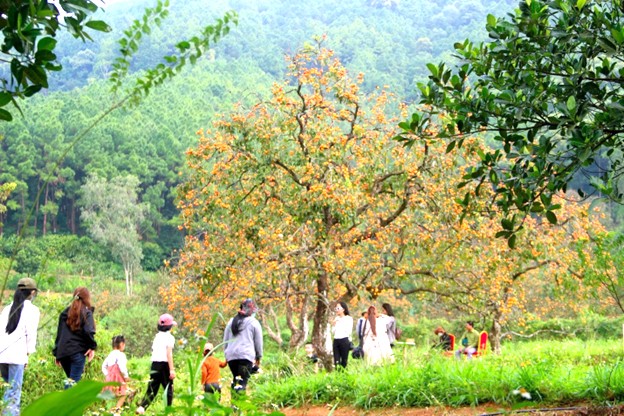 Du khách đi du lịch ở vườn hồng Nam Đàn. Du khách đi du lịch ở vườn hồng Nam Đàn.