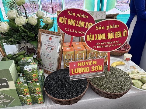 Chương trình OCOP ở Hòa Bình đi qua một chặng đường gian khó