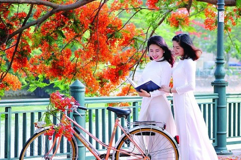Vào hạ