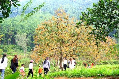 nam dan dat chuan nong thon moi nang cao nam 2024