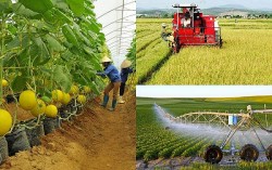 Tổng điều tra nông thôn, nông nghiệp năm 2025 từ ngày 1/7