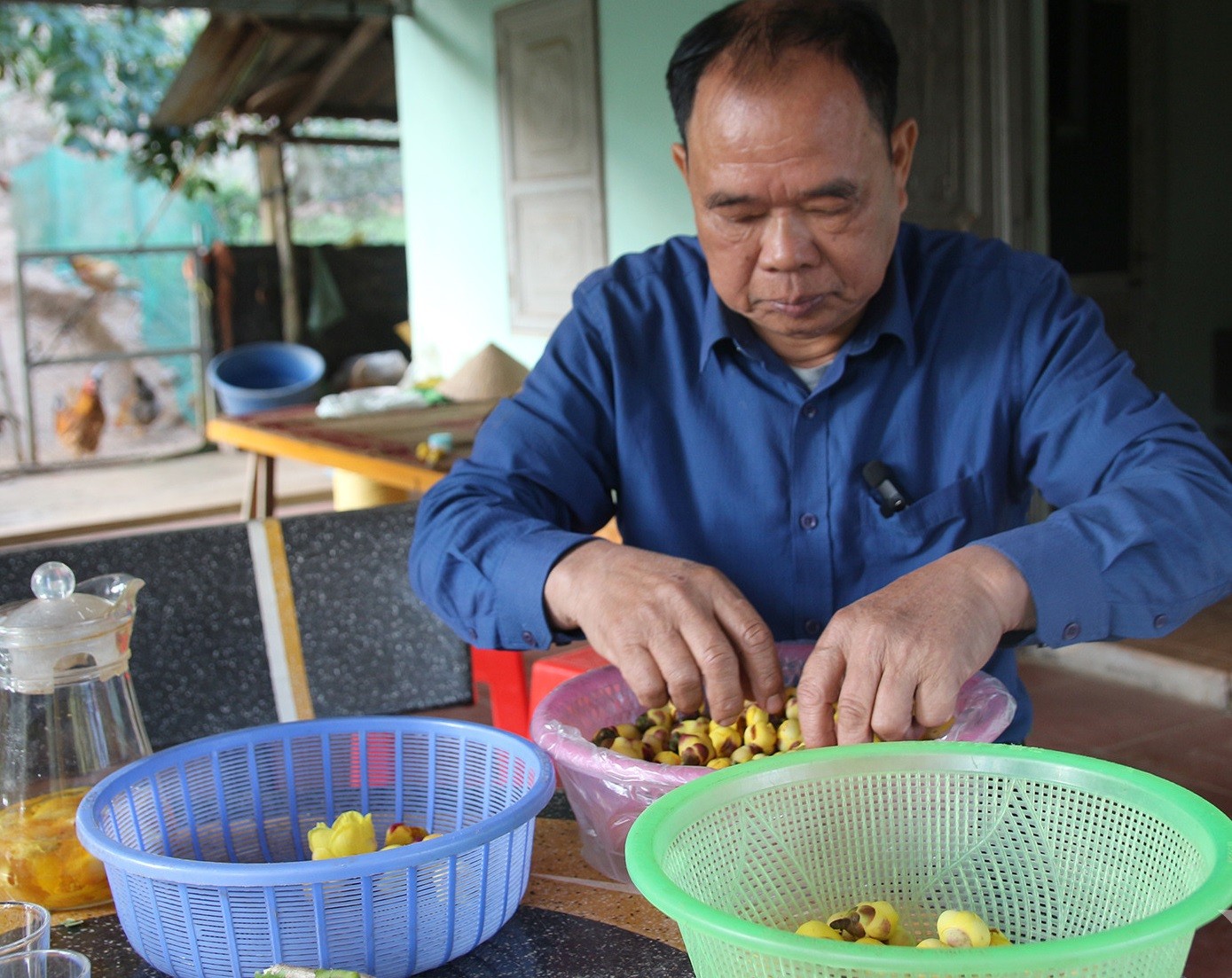 "Báu vật thoát nghèo" giúp nông dân lãi đậm dịp Tết Nguyên đán "Báu vật thoát nghèo" giúp nông dân lãi đậm dịp Tết Nguyên đán