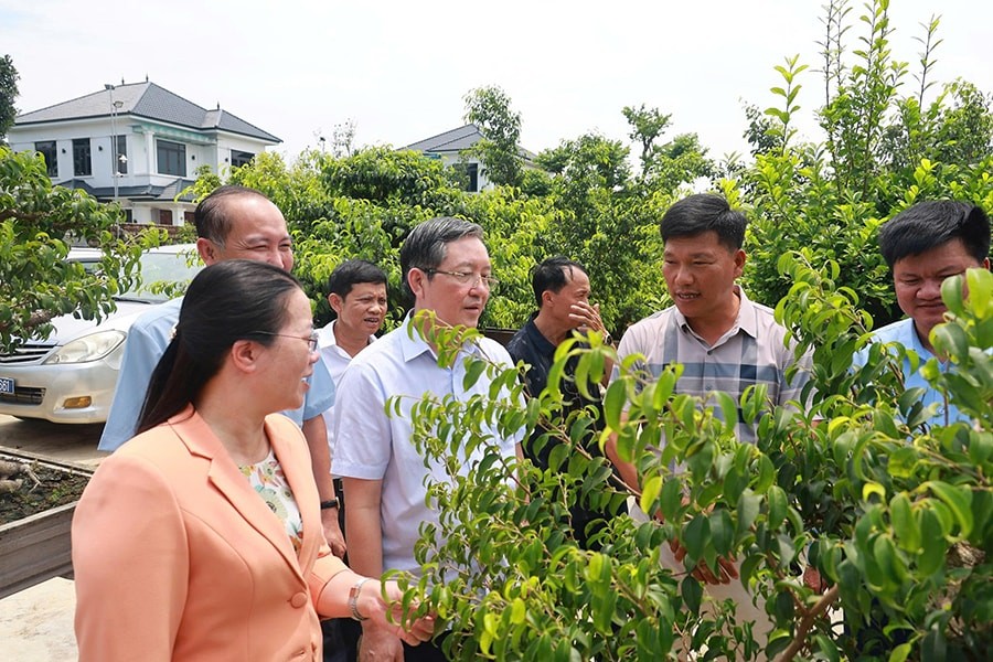 Các cán bộ Trung ương Hội Nông dân Việt Nam và Hội Nông dân thành phố Hà Nội thăm mô hình chi hội, tổ hội nghề nghiệp tại xã Trần Phú.