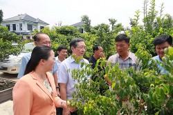 Xây dựng các chi hội nông dân gắn với thế mạnh từng địa phương