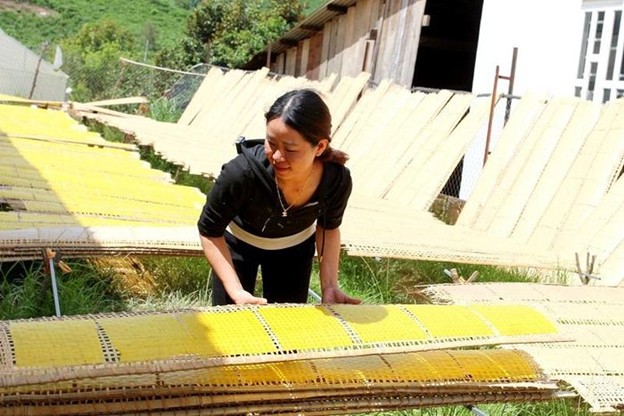 Bánh tráng làng Tày Đam Rông Hướng đến phát triển bền vững nhờ nhãn hiệu chứng nhận Bánh tráng làng Tày Đam Rông Hướng đến phát triển bền vững nhờ nhãn hiệu chứng nhận