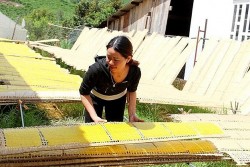 Bánh tráng làng Tày Đam Rông Hướng đến phát triển bền vững nhờ nhãn hiệu chứng nhận