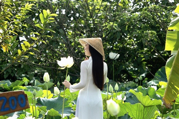 Xã Chuyên Mỹ (Hà Nội): Đa dạng hóa sản phẩm, nâng cao giá trị cho cây sen