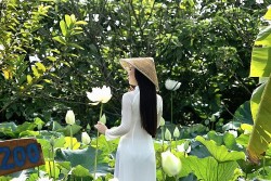 Xã Chuyên Mỹ (Hà Nội): Đa dạng hóa sản phẩm, nâng cao giá trị cho cây sen