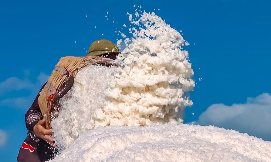 Cà Mau có 2 sản phẩm muối đạt OCOP 5 sao cấp quốc gia Cà Mau có 2 sản phẩm muối đạt OCOP 5 sao cấp quốc gia