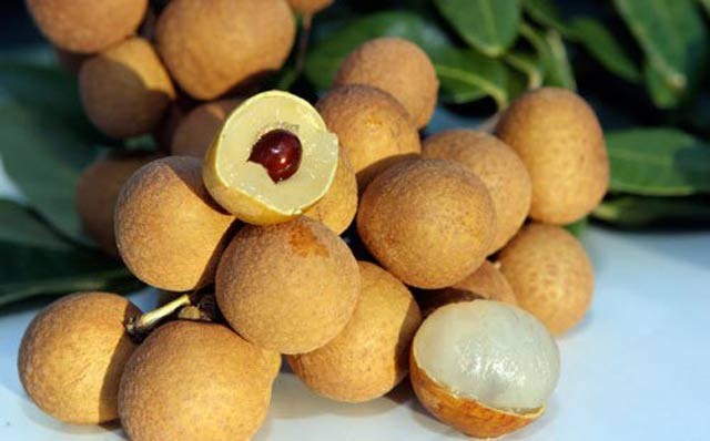 Xã Tân Hưng – “Kho báu” nhãn đặc sản của Hưng Yên