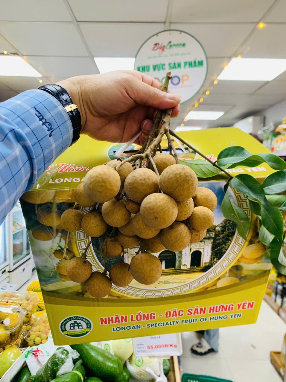 Xã Tân Hưng – “Kho báu” nhãn đặc sản của Hưng Yên Xã Tân Hưng – “Kho báu” nhãn đặc sản của Hưng Yên