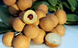 Xã Tân Hưng – “Kho báu” nhãn đặc sản của Hưng Yên