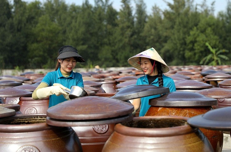 Các làng nghề nước mắm ở Hà Tĩnh hút khách du lịch Các làng nghề nước mắm ở Hà Tĩnh hút khách du lịch