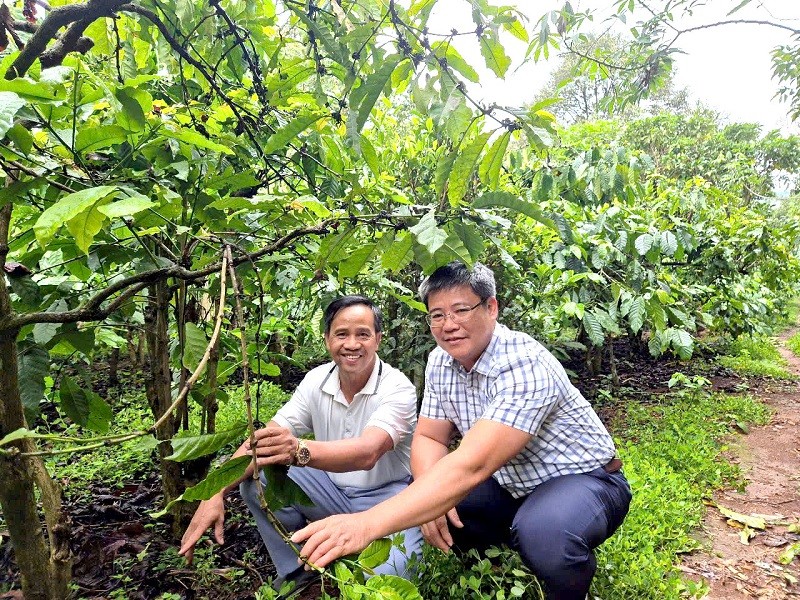Ông Trịnh Tấn Vinh (bên trái), người sáng lập Công ty TNHH Thuần Trịnh Coffee - đơn vị sở hữu sản phẩm cà phê hữu cơ đạt chuẩn OCOP 4 sao tại tỉnh Lâm Đồng, mong người làm nghề giữ vững “cái tâm” giữa cơn bão giá