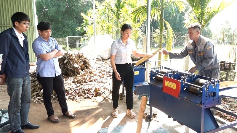 Đề án “Hỗ trợ ứng dụng máy móc tiên tiến trong sản xuất các sản phẩm từ Quế Trà My” được thực hiện tại HTX Quế Trà My Minh Phúc, vừa được nghiệm thu 