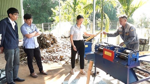 Nghiệm thu đề án khuyến công hỗ trợ phát triển sản phẩm quế Trà My