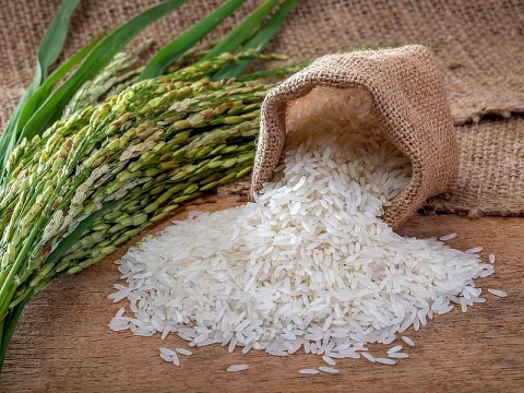 Hiệu quả từ phong trào sản xuất sạch hơn tại tỉnh Phú Thọ