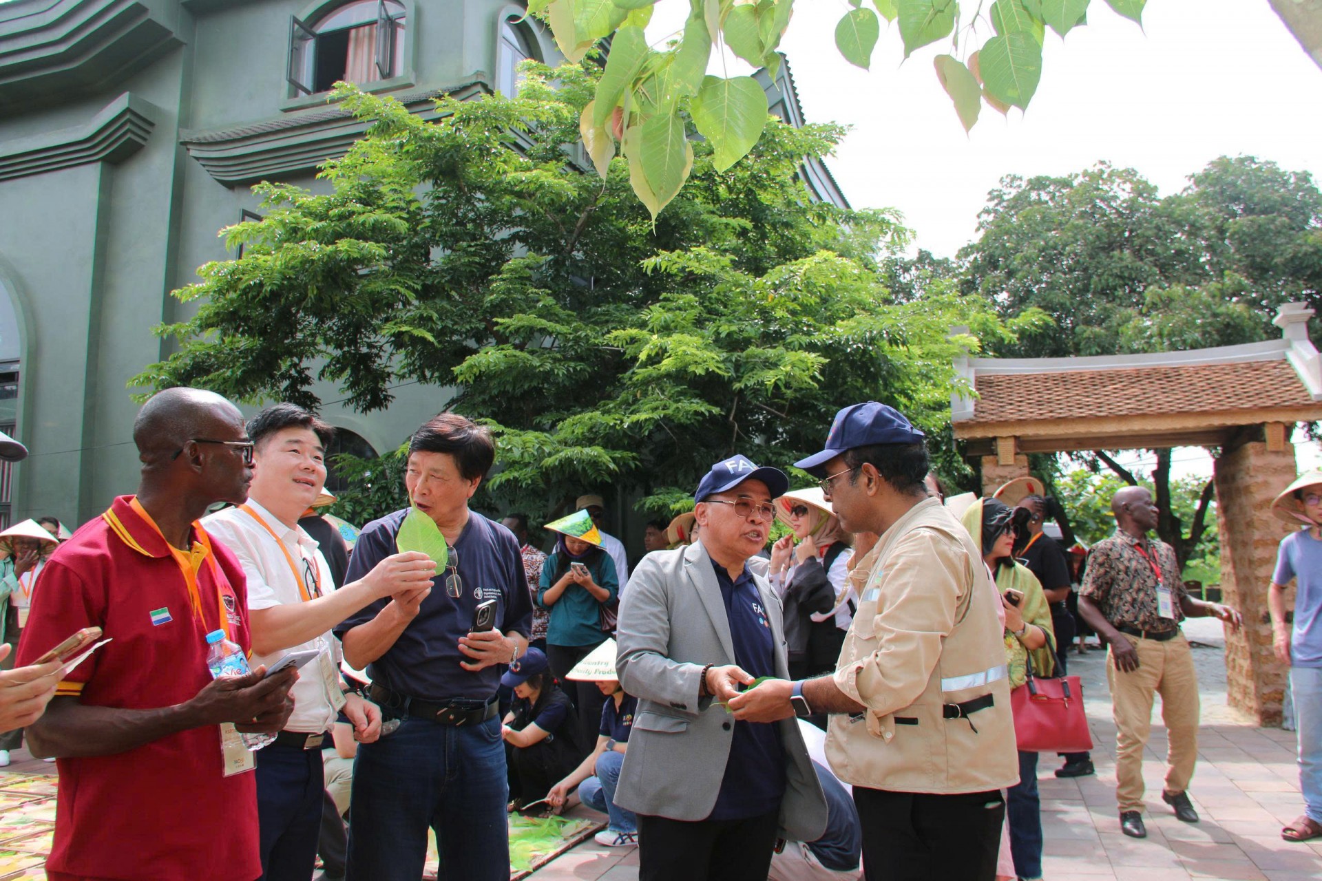 Thiết kế tinh xảo trên lá bồ đề nhận được nhiều lời khen.