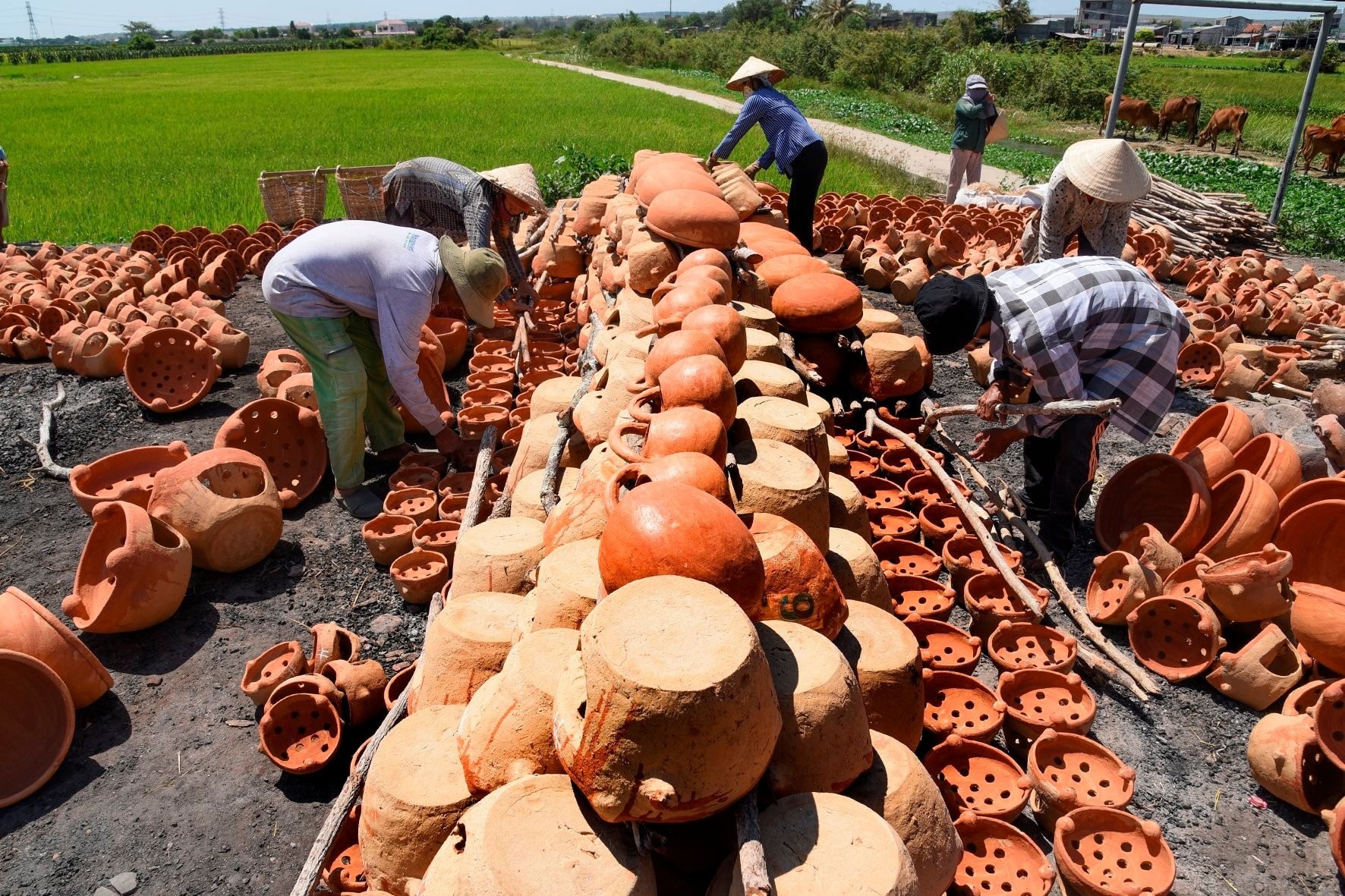 Làng Gốm Chăm Bình Đức: Nơi Lưu Giữ Hồn Cốt Văn Hóa Chăm Làng Gốm Chăm Bình Đức: Nơi Lưu Giữ Hồn Cốt Văn Hóa Chăm