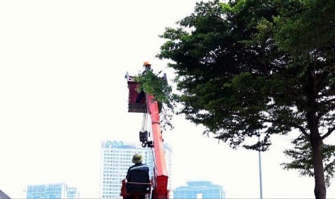 ha noi trien khai cong tac bao dam trat tu an toan giao thong ung pho bao so 3