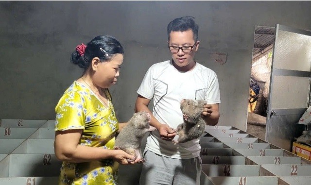 Anh Huỳnh Văn Hiếu đam mê mô hình nuôi dúi thương phẩm