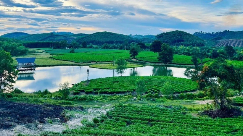 Một vùng nông thôn trù phú ở Nghệ An Một vùng nông thôn trù phú ở Nghệ An