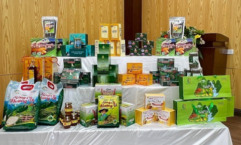 lao cai them 62 san pham moi duoc cong nhan dat ocop nam 2025