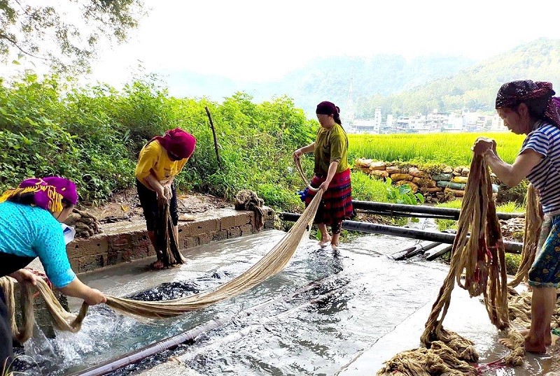 Để sợi lanh có màu trắng, mịn hơn, sợi được mang đi nấu với tro bếp, rồi mang giặt. Công đoạn nấu - giặt thường được làm từ 3 - 4 lần tới khi sợi lanh có độ trắng đạt yêu cầu. Để sợi lanh có màu trắng, mịn hơn, sợi được mang đi nấu với tro bếp, rồi mang giặt. Công đoạn nấu - giặt thường được làm từ 3 - 4 lần tới khi sợi lanh có độ trắng đạt yêu cầu.