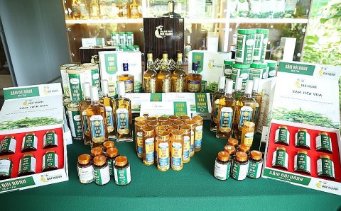 nghiem thu de an dau tu ung dung may moc thiet bi trong san xuat ruou sam nam nui danh