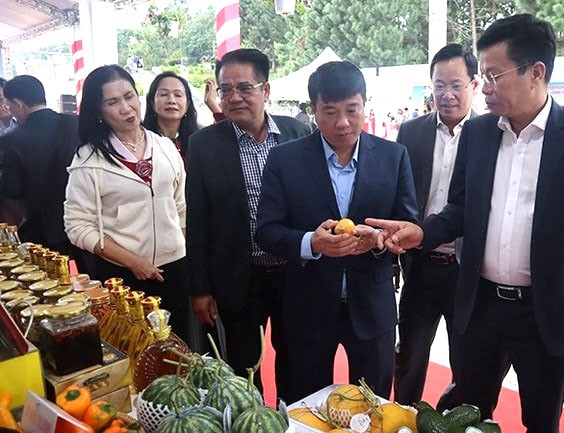 Các đại biểu tham quan các gian hàng. Các đại biểu tham quan các gian hàng.