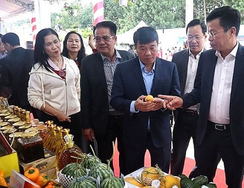 Lâm Đồng triển lãm quy hoạch, trưng bày, giới thiệu sản phẩm OCOP, nông nghiệp tiêu biểu