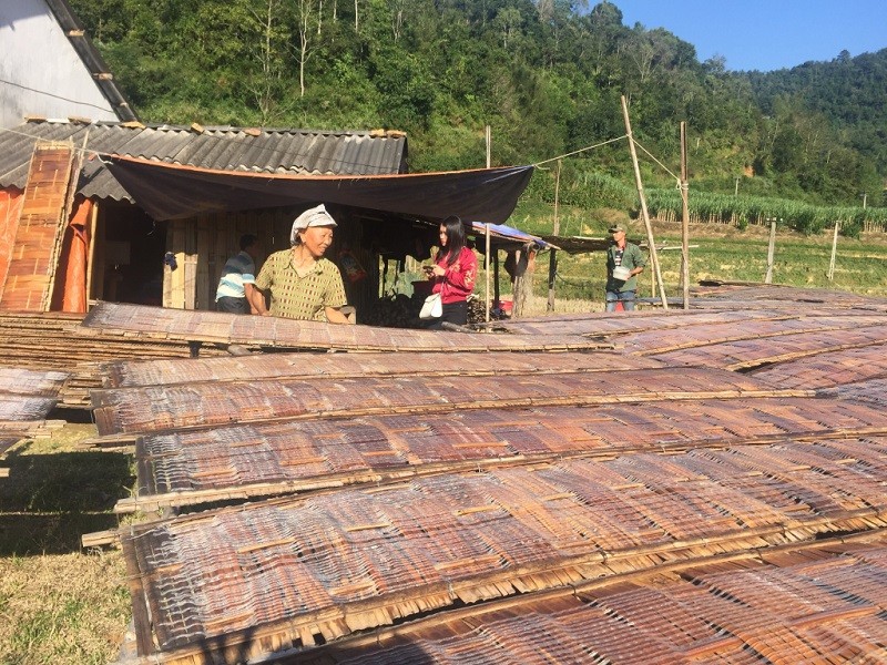 Xã Thành Công (Nguyên Bình) có gần 100 hộ làm miến dong.