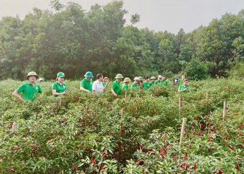 tuyen quang xay dung nong thon moi khi y dang hoa long dan