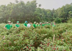 Tuyên quang: Xây dựng Nông thôn mới - Khi ý Đảng hòa lòng dân