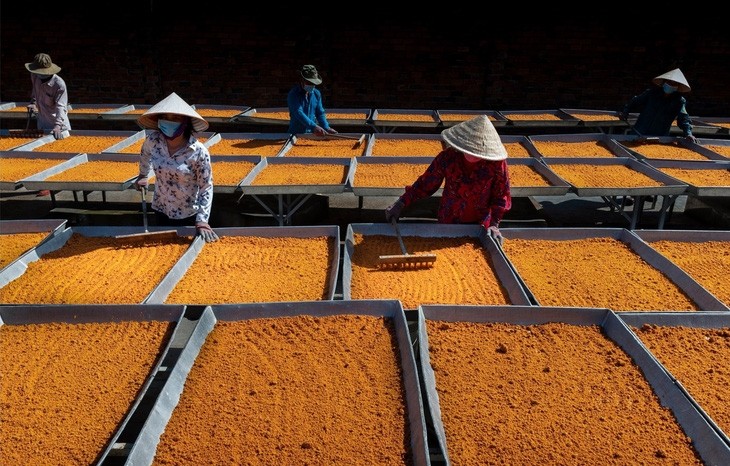 Đặc sắc nghề làm muối ớt Tây Ninh - di sản Văn hóa Phi vật thể Quốc gia