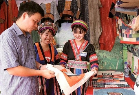 Tuyên Quang: Hiệu quả từ Dự án 8 - Khi phụ nữ tiên phong ứng dụng công nghệ 4.0